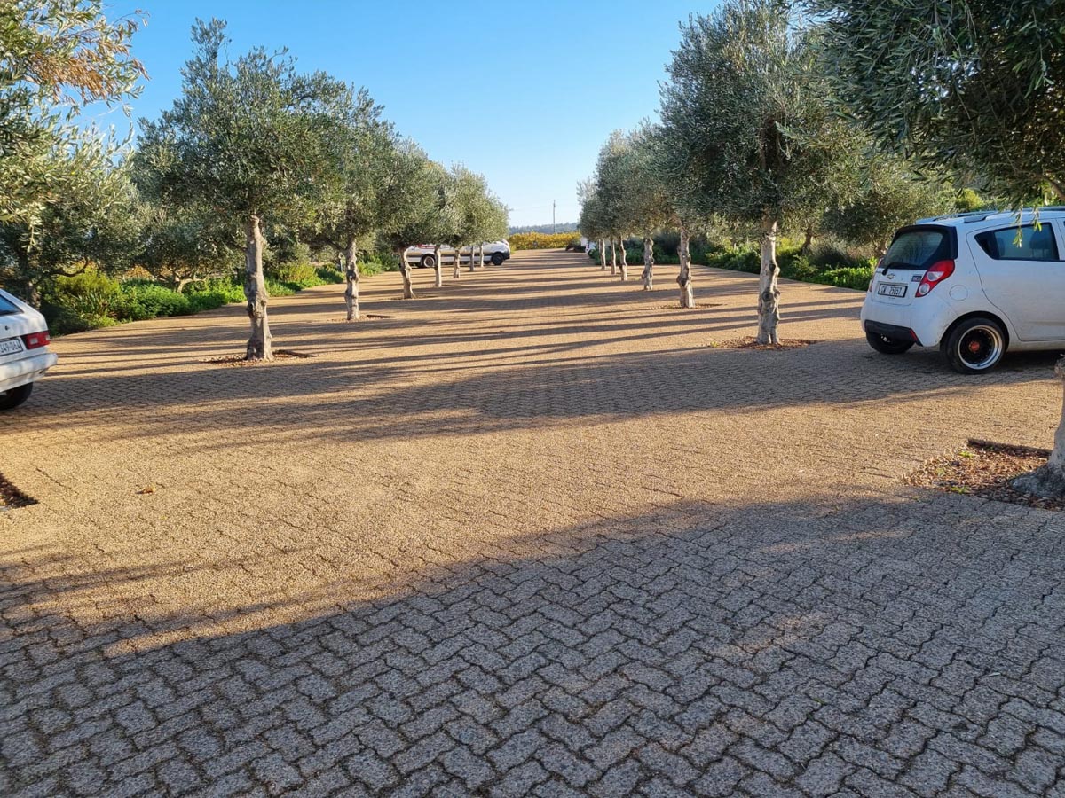 Exposed aggregate pavers n1 paving